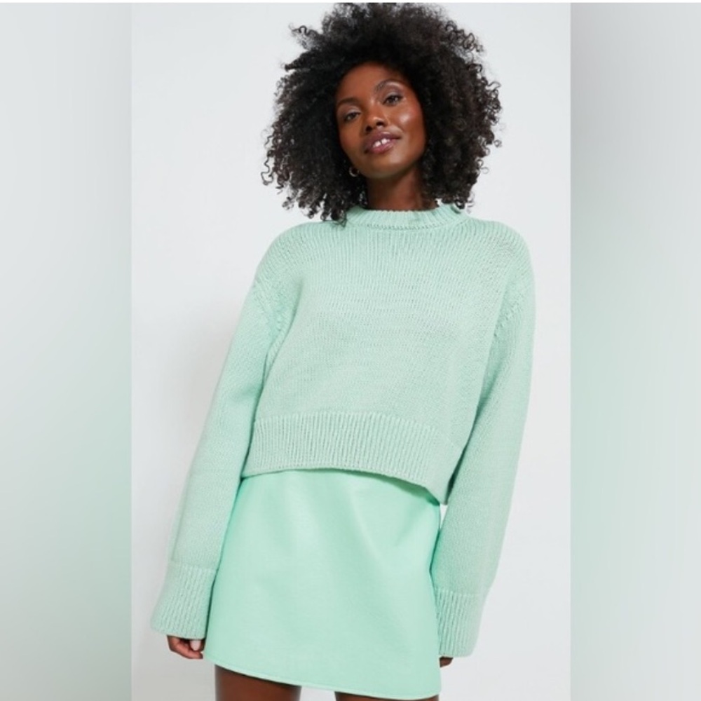 NWT Tuckernuck Mint Chip Aiden Sweater
